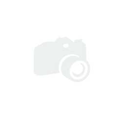 CLUTCH DISC RCS 184-S2.6-M-804
