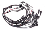 Chevrolet LS Electronics