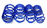 Springs sport 
