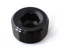 Insexplugg - 1/16" NPT