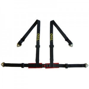 QSP 4 point safety harness 2"