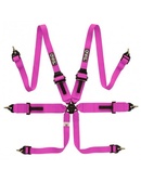 QSP 6 point safety harness 3" FIA FHR Touring