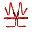 QSP 6 point safety harness 3" HANS FIA (Endurance)